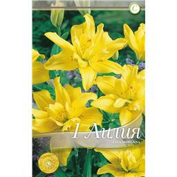 Фата Моргана