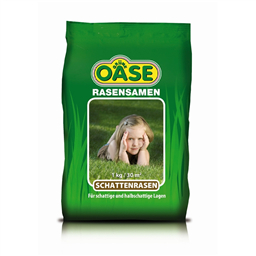 ТЕНЕВОЙ ГАЗОН - ЗЕЛЁНЫЙ  ОАЗИС