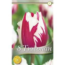 Флейминг Балтик