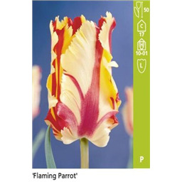 Флэминг Пэррот