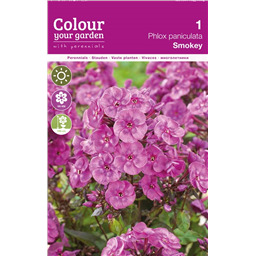 Флокс Смоки