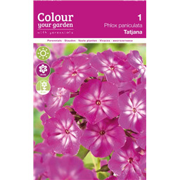 Флокс Татьяна