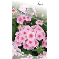 Флокс друммонди Грандифлора Бриллиант