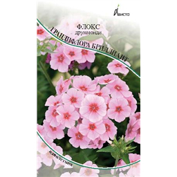 Флокс друммонди Грандифлора Бриллиант