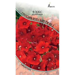 Флокс друммонди Грандифлора Фиери Ред