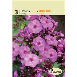 Флокс Никки
