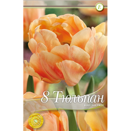 Фокси Фокстрот