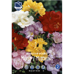 Фрезия Дабл