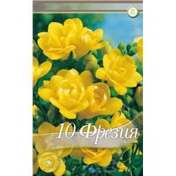 Фрезия махровая Йеллоу