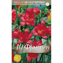 Фрезия махровая Ред