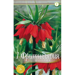 Фритилярия Империалис Рубра