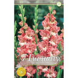 Фризлед Корал Лэйс