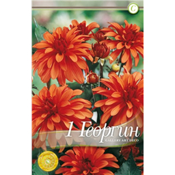 Галлери Арт Деко