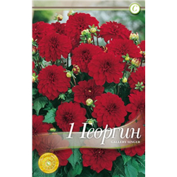 Галлери Сингер