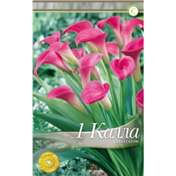 Гарнет Глоу