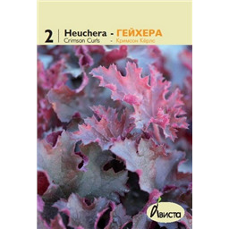 Гейхера Кримсон Кёрлс