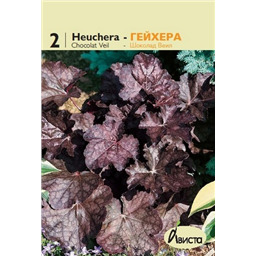 Гейхера Шоколад Вейл