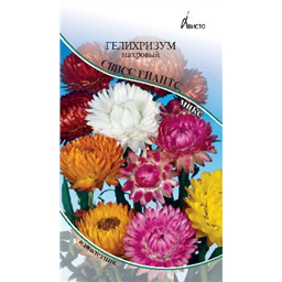Гелихризум Свисс Гиантс микс