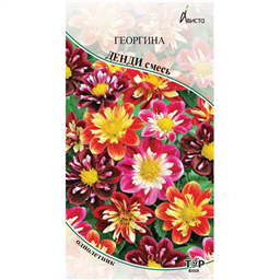 Георгина Денди смесь 