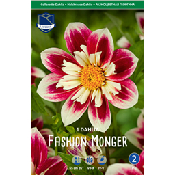 Георгина Фэшин Монгер