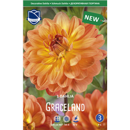 Георгина Грейсленд