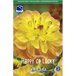 Георгина Хэппи Гоу Лакки