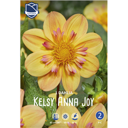 Георгина Келси Анна Джой