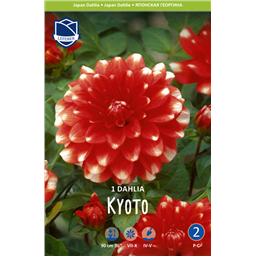 Георгина Киота