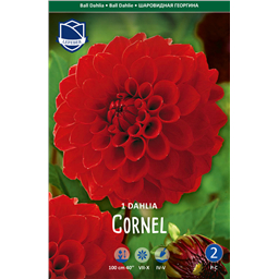 Георгина Корнел