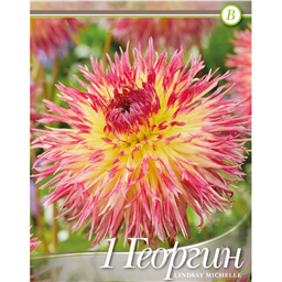 Георгина Линдсэй Мишель 