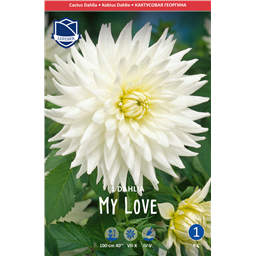 Георгина Май Лав