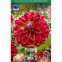 Георгина Максим