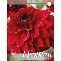 Георгина Мингус Алекс 