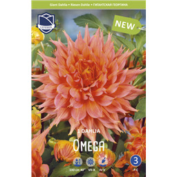 Георгина Омега