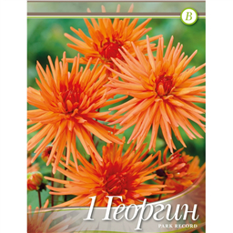 Георгина Парк Рекорд