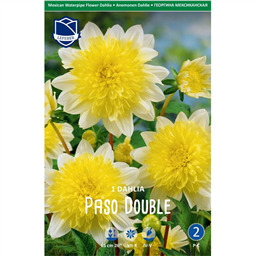 Георгина Пасодобль