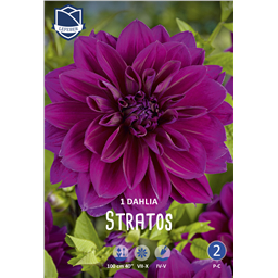 Георгина Стратос