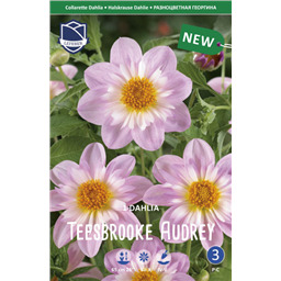 Георгина Тесбрук Одри