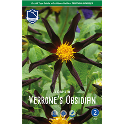 Георгина Веронес Обсидиан