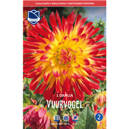 Георгина Вуурвогель