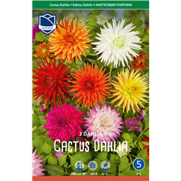 Георгины Смесь Кактусовидных