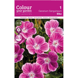 Гераниум Ельке