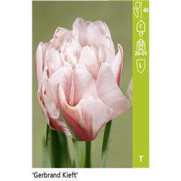 Гербарт Кифт