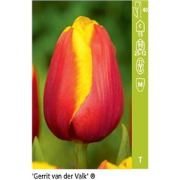 Геррит ван дер Валк