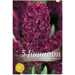 Гиацинт Вудсток