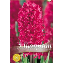 Гиацинт Ян Босс