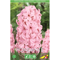 Гиацинт Фондант(упаковка мини)