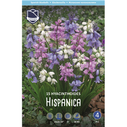 Гиацинтоидес испанский смесь