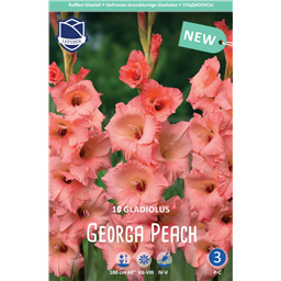Гладиолус Джорджия Пич