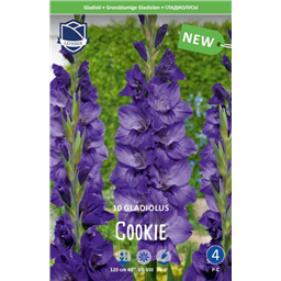 Гладиолус Куки